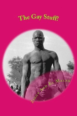 Ziggy Abd El Malak - The Gay Stuff!, Häftad