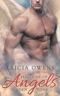 Territory of Angels (A: R Heaven 1)