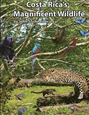 John J. Schneider - Costa Rica's Magnificent Wildlife, Häftad. Tillgänglighet: Lägg i varukorg