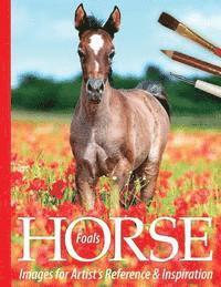 Sarah Tregay - Foals: Horse Images for Artist's Reference and Inspiration, Häftad. Tillgänglighet: Lägg i varukorg