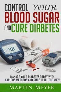 Martin Meyer - Blood Sugar Solution and Cure Diabetes: How to reverse diabetes, lose weight quickly and Lower Blood Sugar. Type 2 Diabetes diet, Insulin Resistance d, Häftad