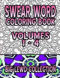 Swear Word Coloring Book: Big Lewd Collection (Volumes 1 - 4) av Carol C