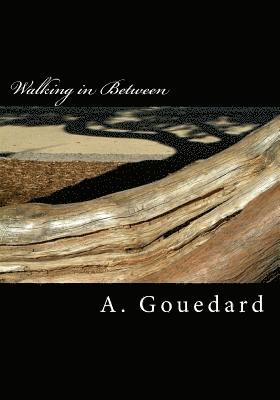 A. Gouedard - Walking in Between: a collection of poetry, Häftad. Tillgänglighet: Lägg i varukorg