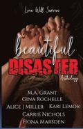 Beautiful Disaster Anthology