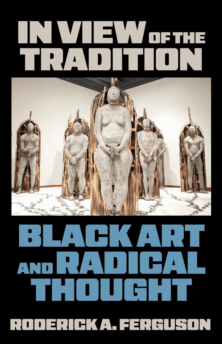 Roderick A. Ferguson - In View of the Tradition, Häftad
