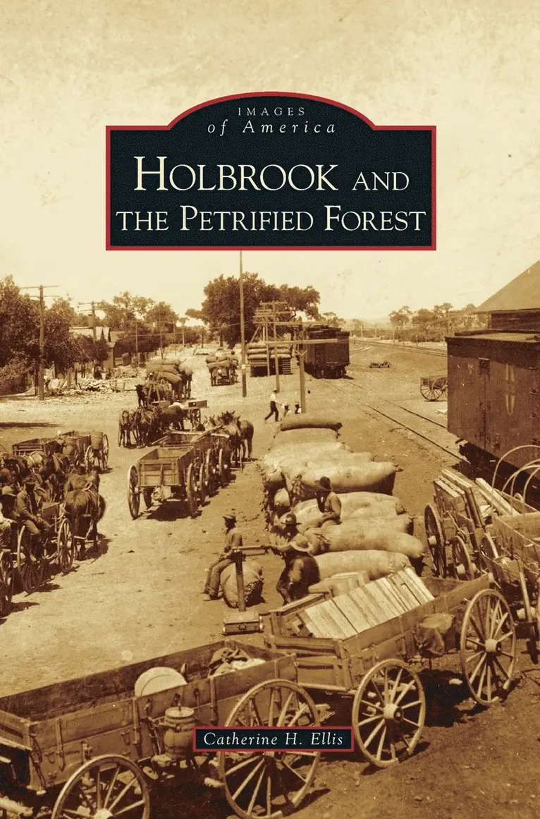 Catherine H Ellis - Holbrook and the Petrified Forest, Inbunden. Tillgänglighet: Lägg i varukorg