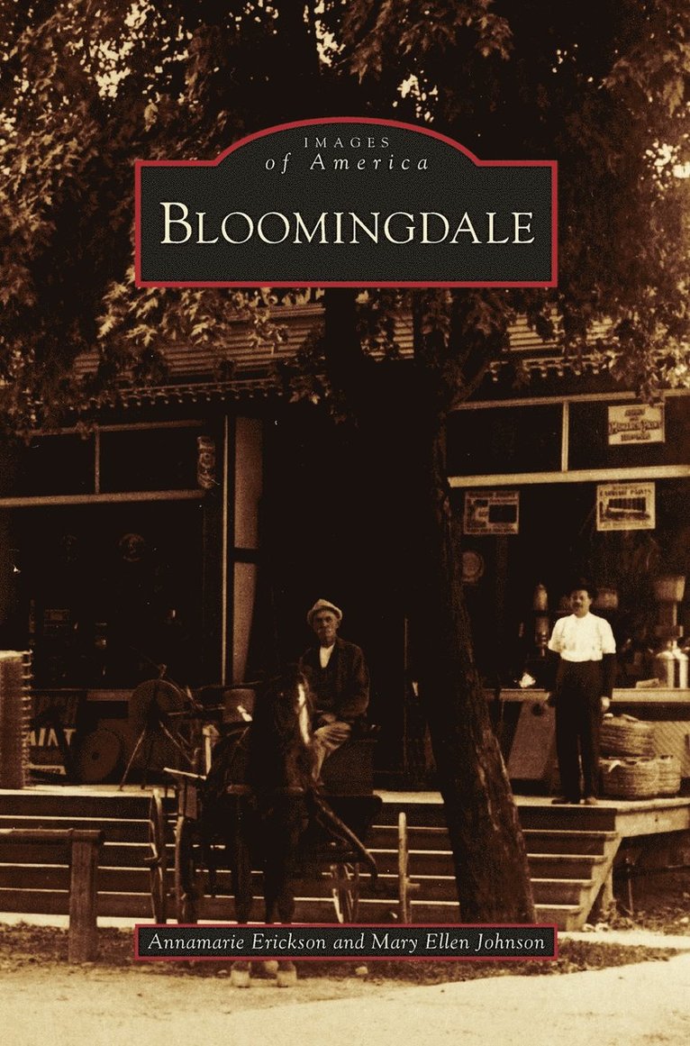 Annamarie Erickson, Mary Ellen Johnson - Bloomingdale, Inbunden. Tillgänglighet: Lägg i varukorg