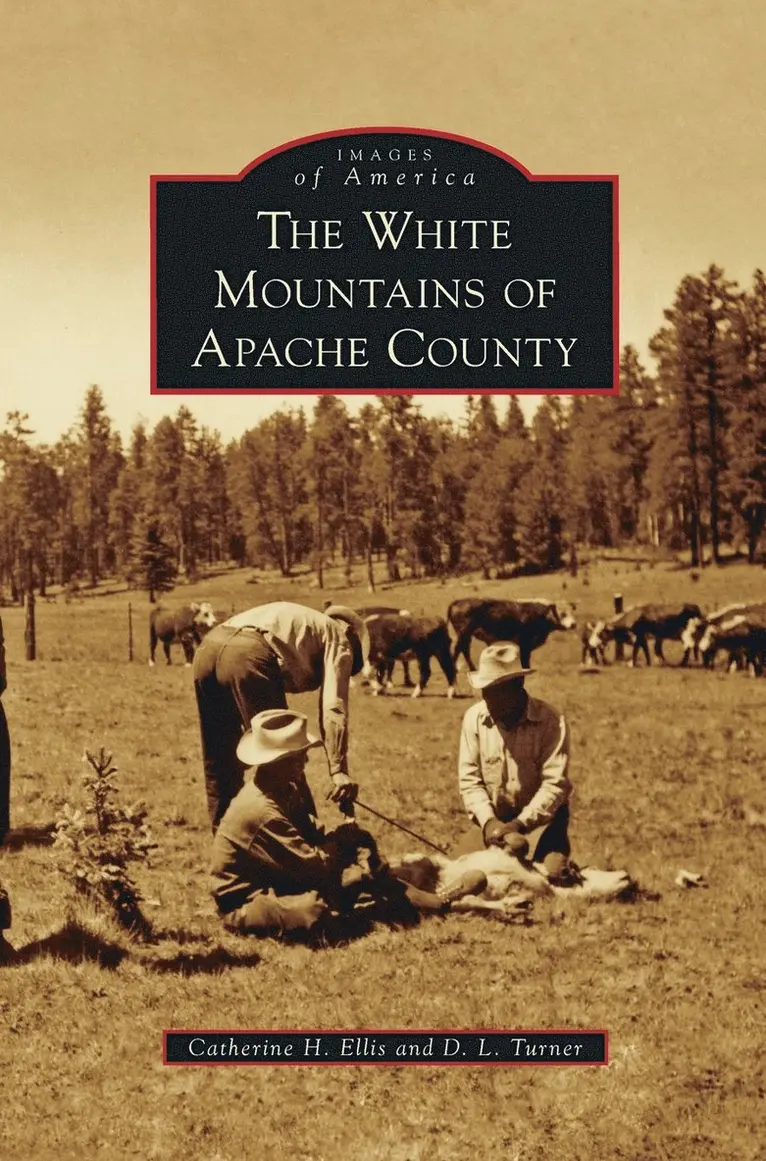 Catherine H Ellis, D L Turner - White Mountains of Apache County, Inbunden. Tillgänglighet: Lägg i varukorg
