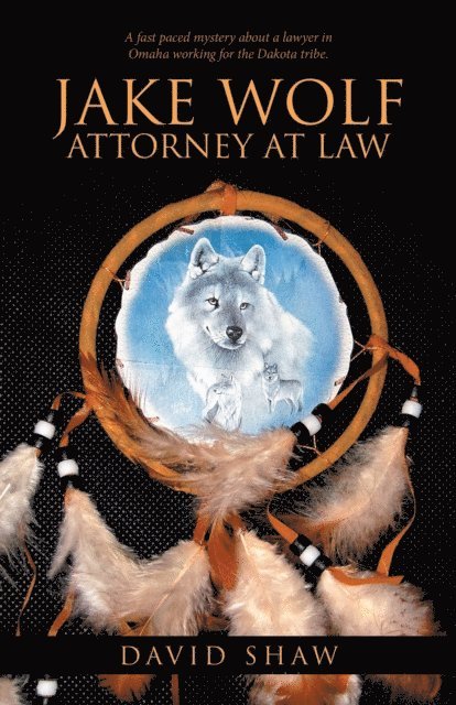 David Shaw - Jake Wolf Attorney at Law, E-bok