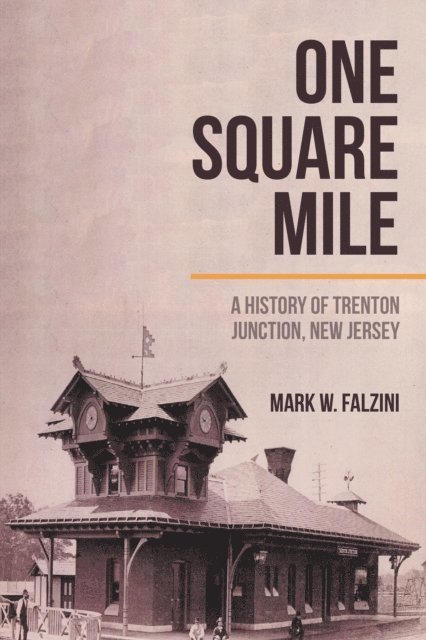 Mark W. Falzini - One Square Mile, E-bok