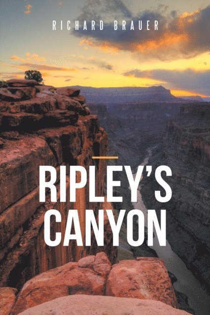 Richard Brauer - Ripley'S Canyon, E-bok