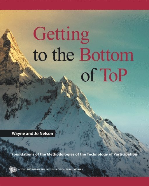 Jo Nelson, Wayne - Getting to the Bottom of Top, E-bok