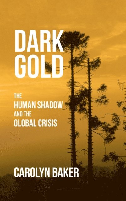 Carolyn Baker - Dark Gold, E-bok