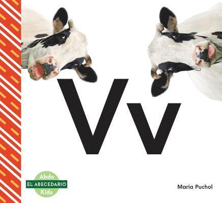 Maria Puchol - VV, Inbunden