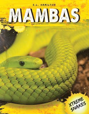 S. L. Hamilton - Mambas, Inbunden