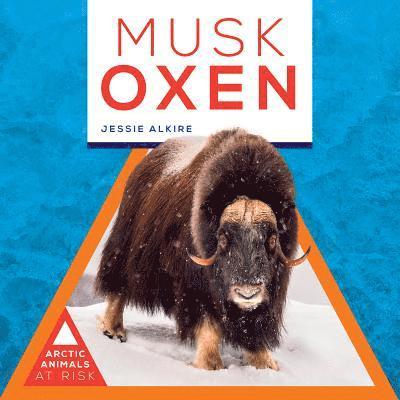 Jessie Alkire - Musk Oxen, Inbunden