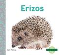 Erizos (Hedgehogs)
