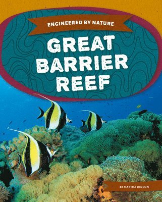 Martha London - Great Barrier Reef, Inbunden