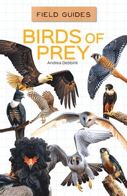 Andrea Debbink - Birds of Prey, Inbunden