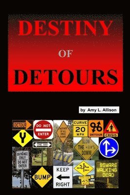 Amy Allison - Destiny of Detours, Häftad. Tillgänglighet: Lägg i varukorg