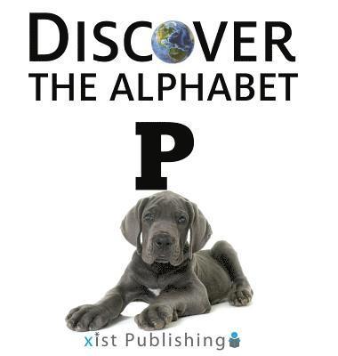 Xist Publishing - P, Inbunden. Tillgänglighet: Lägg i varukorg