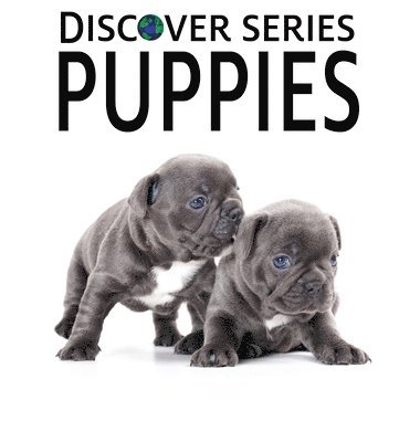Puppies