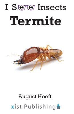August Hoeft - Termite, Häftad