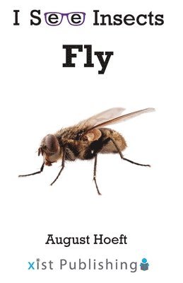 August Hoeft - Fly, Häftad