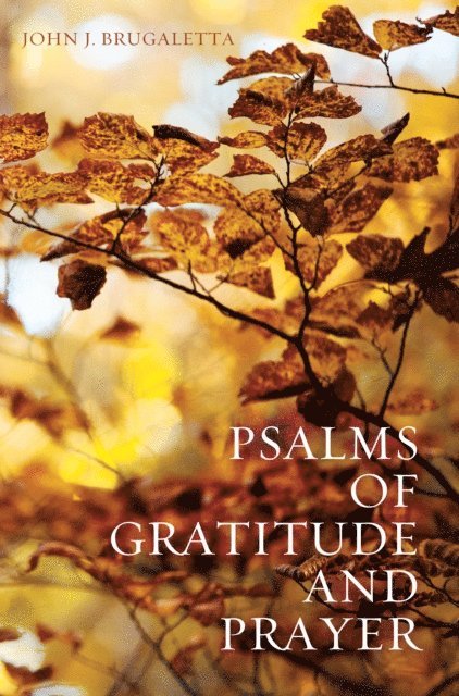 John J. Brugaletta - Psalms of Gratitude and Prayer, E-bok