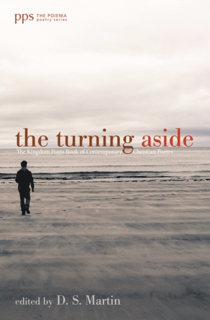 D. S. Martin - Turning Aside, E-bok