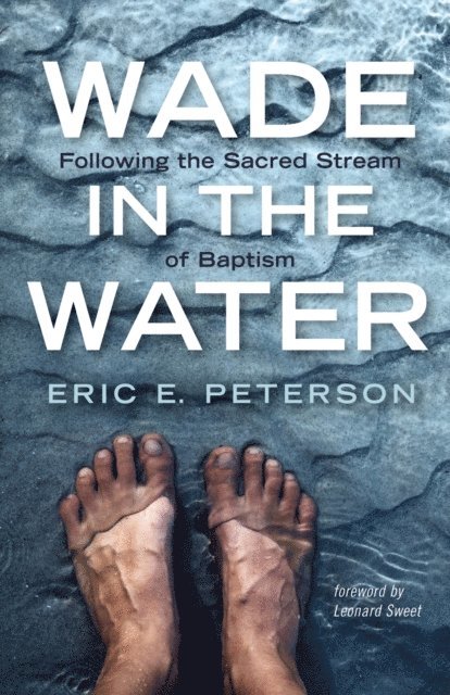 Eric E. Peterson - Wade in the Water, E-bok