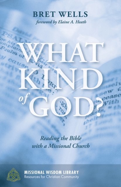 Bret Wells - What Kind of God?, E-bok