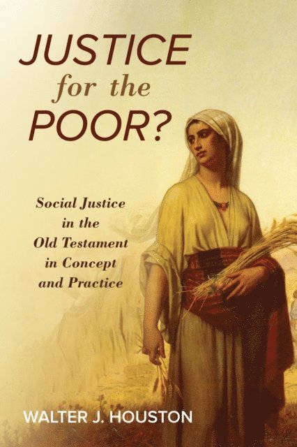 Walter J. Houston - Justice for the Poor?, E-bok