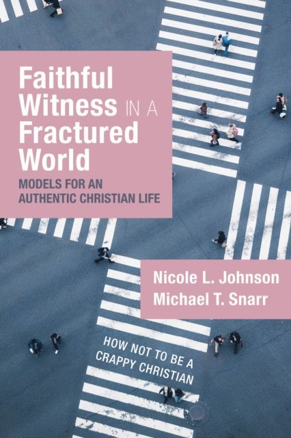 Michael T. Snarr, Dr. Nicole L. Johnson - Faithful Witness in a Fractured World, E-bok