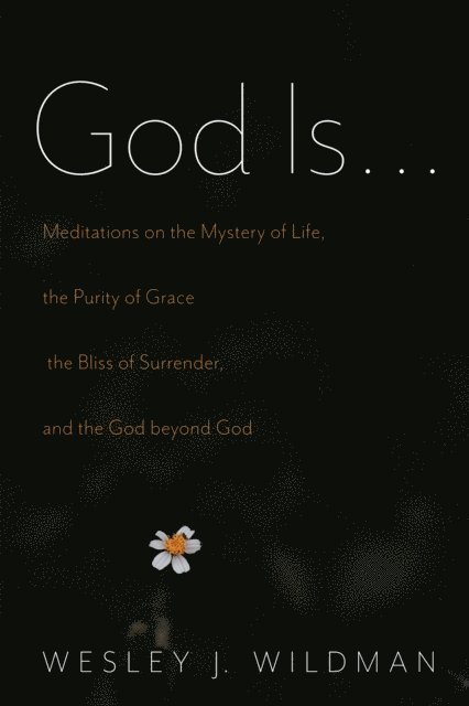 Wesley J. Wildman - God Is . . ., E-bok