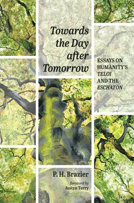 P H Brazier - Towards the Day After Tomorrow, Inbunden