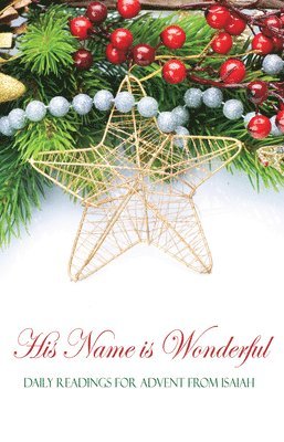 Mathew Bartlett - His Name is Wonderful, Häftad