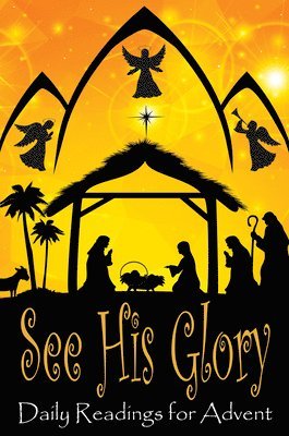 Mathew Bartlett - See His Glory, Häftad