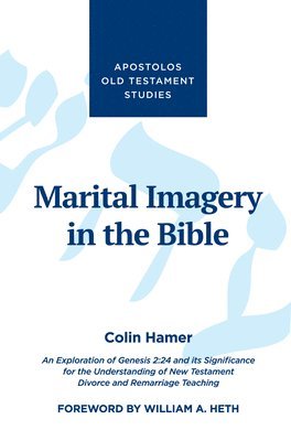 Colin Hamer - Marital Imagery in the Bible, Häftad