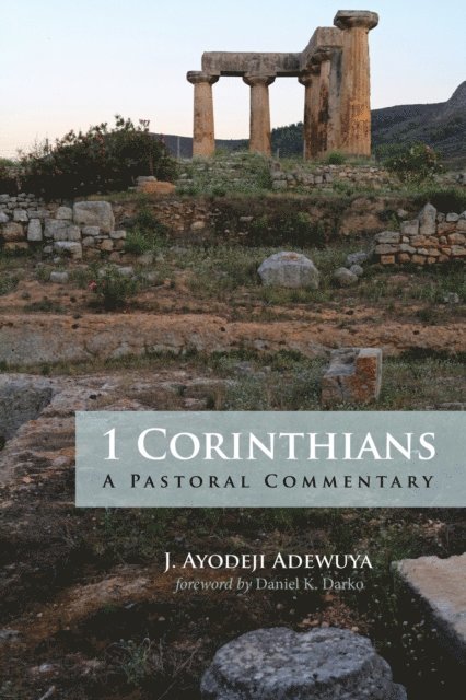 J. Ayodeji Adewuya - 1 Corinthians, E-bok