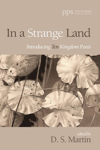 D. S. Martin - In a Strange Land, E-bok