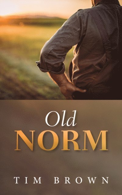 Tim Brown - Old Norm, E-bok