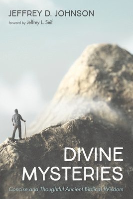 Jeffrey D Johnson - Divine Mysteries, Häftad