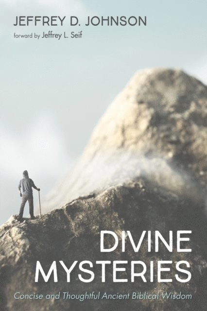 Jeffrey D. Johnson - Divine Mysteries, E-bok