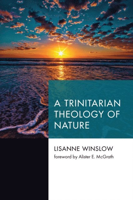 Lisanne Winslow - Trinitarian Theology of Nature, E-bok