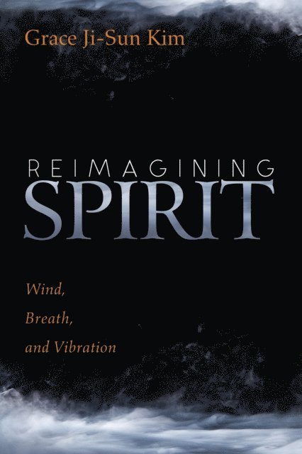 Grace Ji-Sun Kim - Reimagining Spirit, E-bok