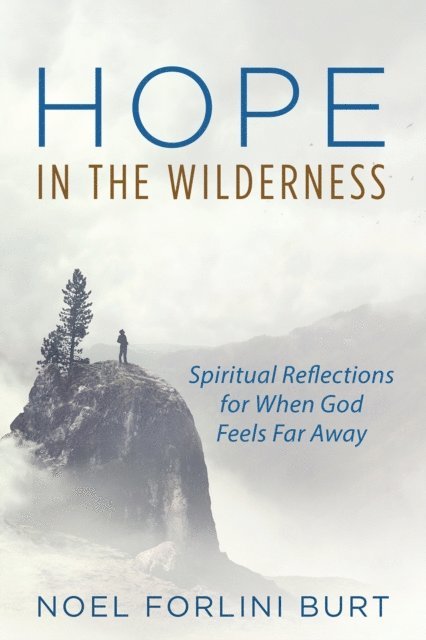 Noel Forlini Burt - Hope in the Wilderness, E-bok
