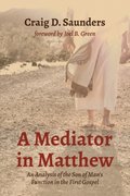 Mediator in Matthew