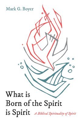 What Is Born of the Spirit Is Spirit