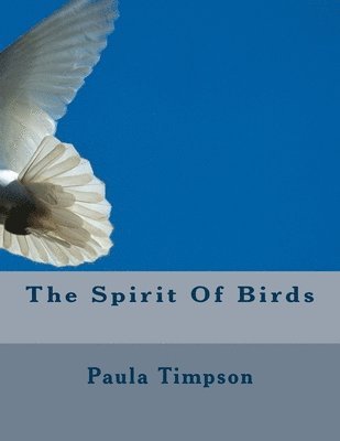 Paula Timpson - The Spirit Of Birds, Häftad. Tillgänglighet: Lägg i varukorg